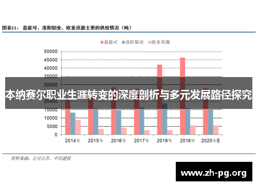 本纳赛尔职业生涯转变的深度剖析与多元发展路径探究 本纳赛尔职业生涯转变的深度剖析与多元发展路径探究