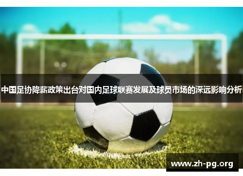 中国足协降薪政策出台对国内足球联赛发展及球员市场的深远影响分析 中国足协降薪政策出台对国内足球联赛发展及球员市场的深远影响分析