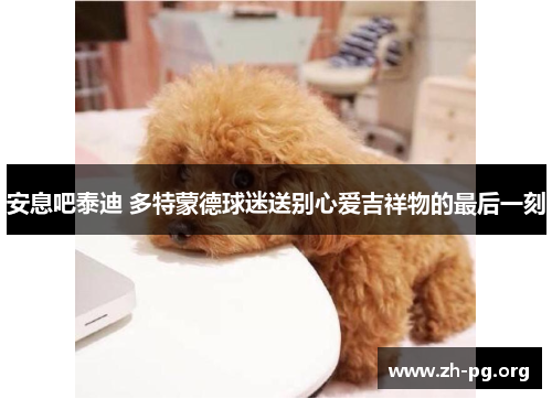 安息吧泰迪 多特蒙德球迷送别心爱吉祥物的最后一刻 安息吧泰迪 多特蒙德球迷送别心爱吉祥物的最后一刻