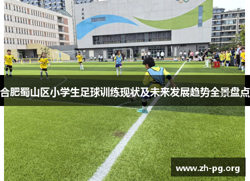 合肥蜀山区小学生足球训练现状及未来发展趋势全景盘点 合肥蜀山区小学生足球训练现状及未来发展趋势全景盘点