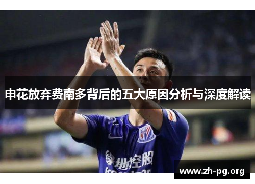 申花放弃费南多背后的五大原因分析与深度解读 申花放弃费南多背后的五大原因分析与深度解读
